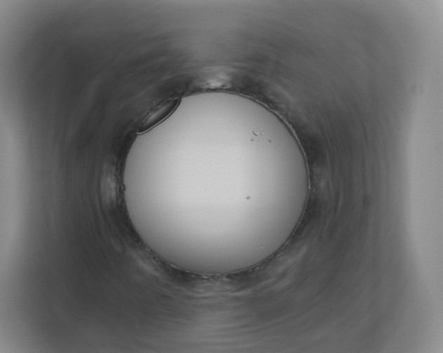 X0000110771442200906291038