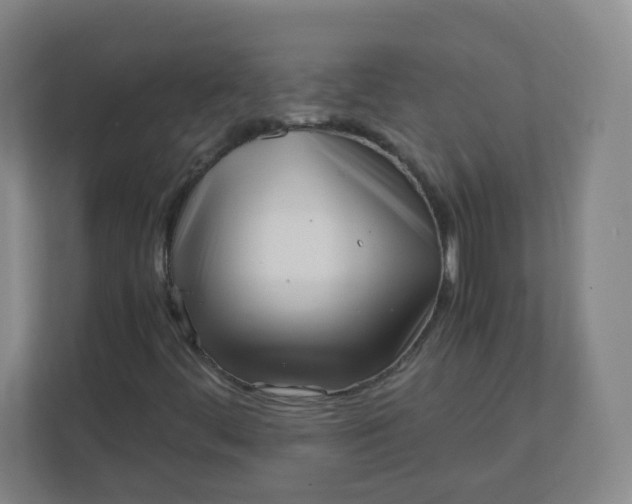 X0000110771444200906291038