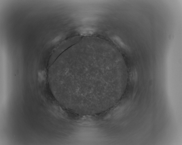 X0000110771445200906291038