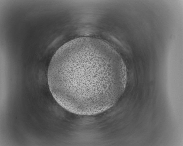 X0000110771446200906291038