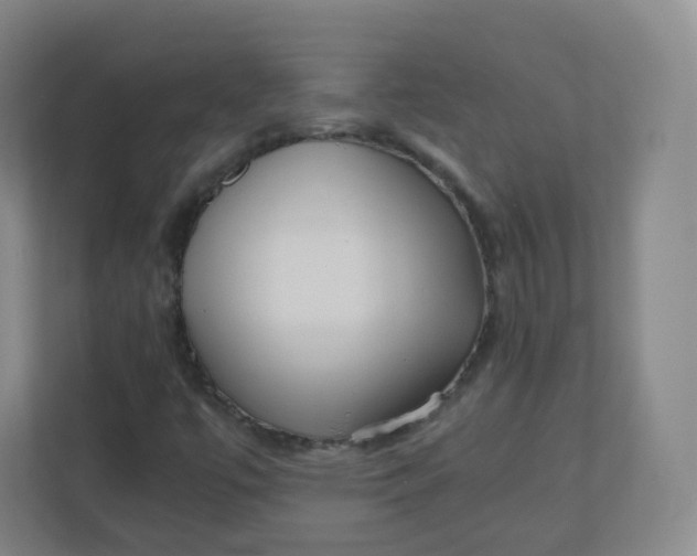 X0000110771447200906291038