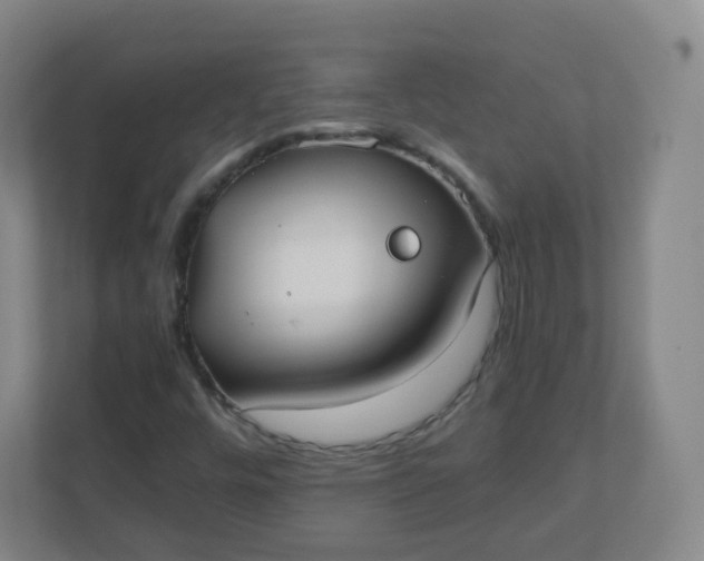 X0000110771448200906291038