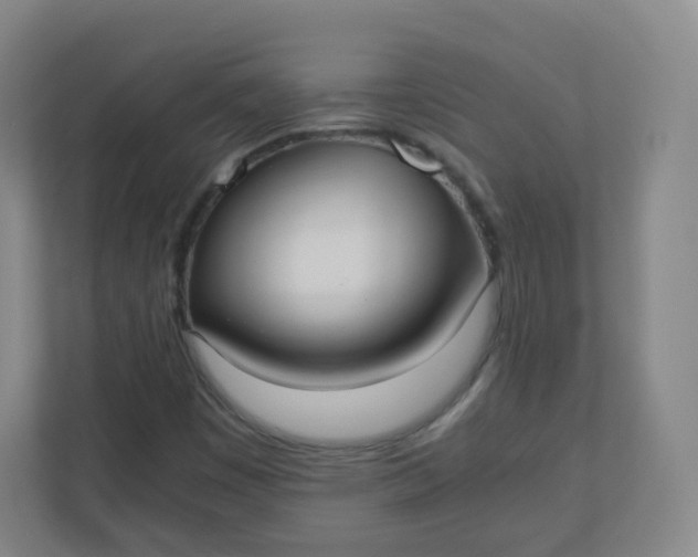 X0000110771449200906291038