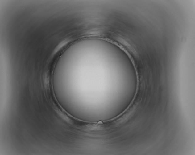 X0000110771450200906291038