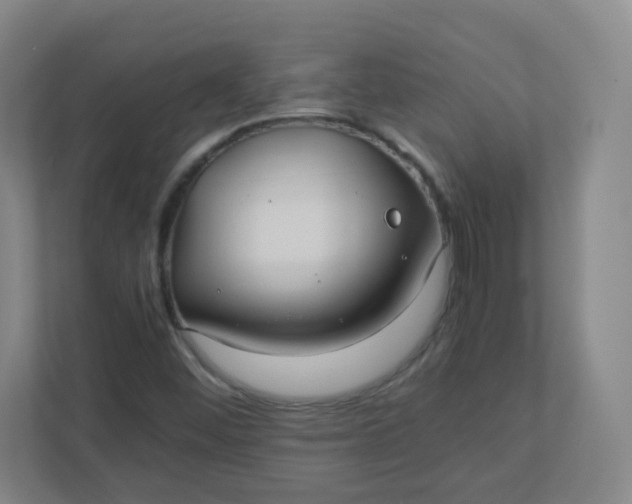 X0000110771452200906291038