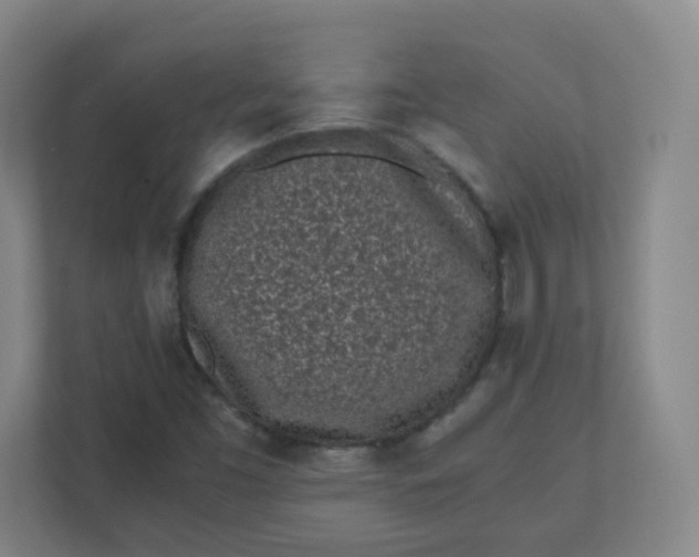 X0000110771453200906291038