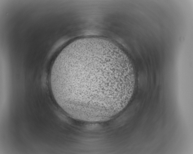 X0000110771454200906291038