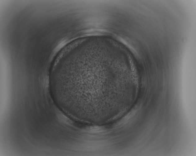 X0000110771459200906291038