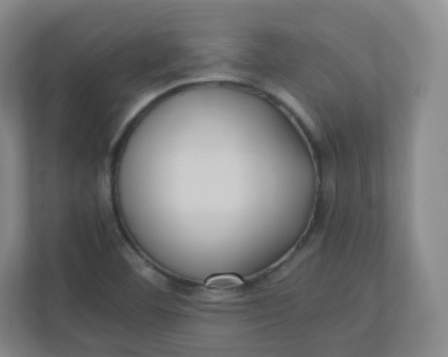 X0000110771460200906291038