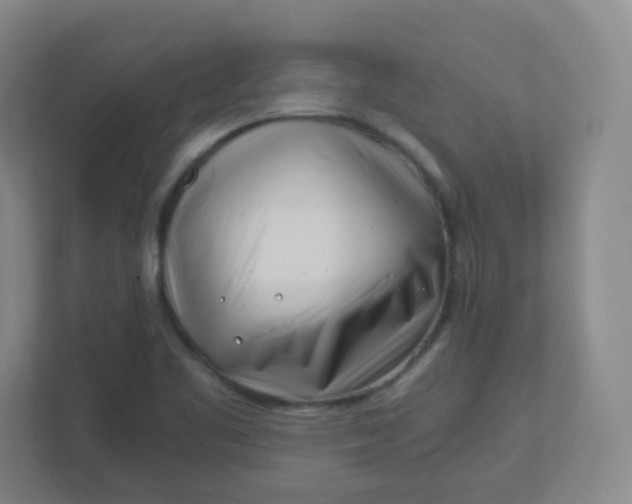 X0000110771461200906291038