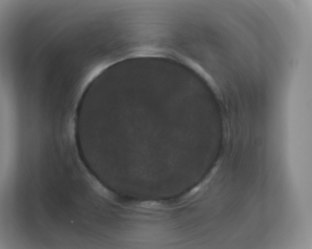 X0000110771463200906291038