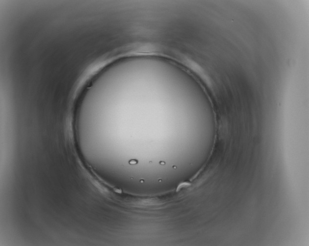 X0000110771464200906291038