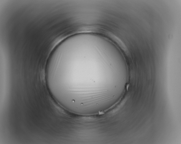 X0000110771465200906291038