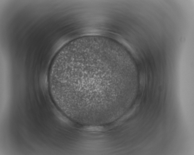 X0000110771466200906291038