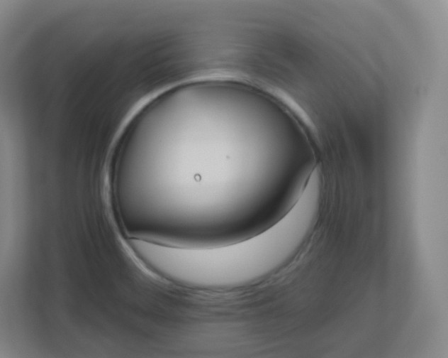 X0000110771468200906291038