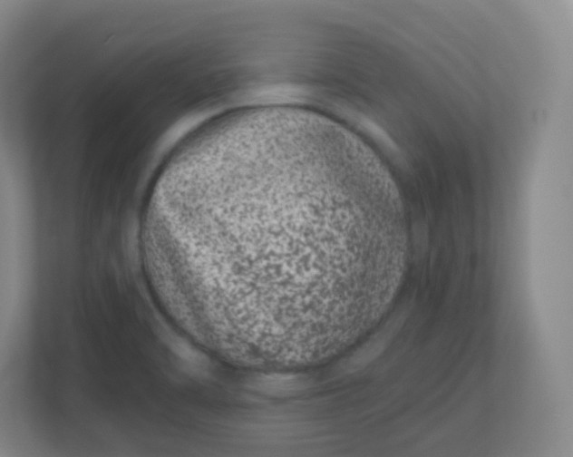 X0000110771470200906291038