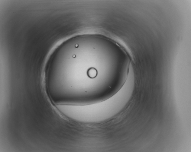 X0000110771472200906291038