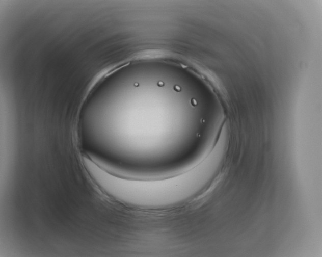 X0000110771473200906291038