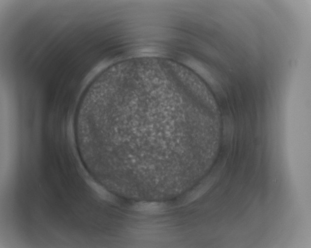 X0000110771474200906291038