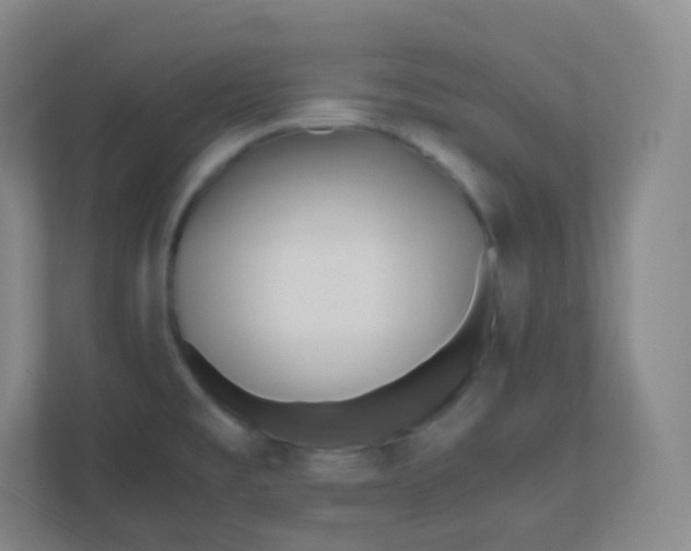 X0000110771477200906291038