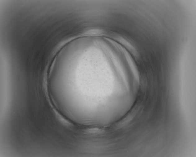 X0000110771478200906291038