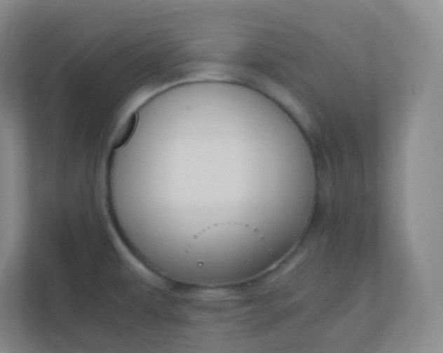 X0000110771479200906291038