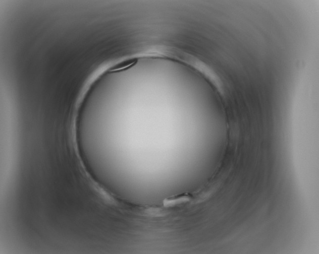 X0000110771480200906291038