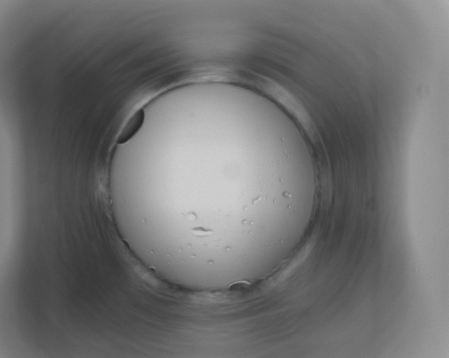 X0000110771481200906291038