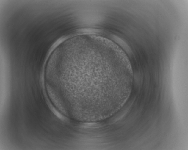 X0000110771482200906291038