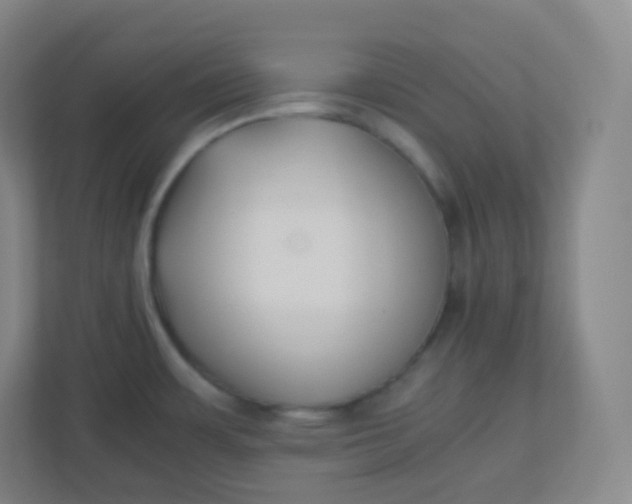 X0000110771483200906291038