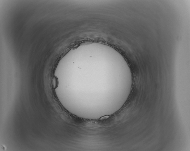 X0000110771489200906291037