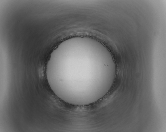 X0000110771490200906291037