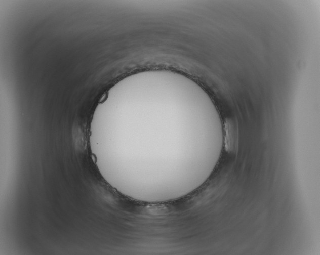 X0000110771491200906291037