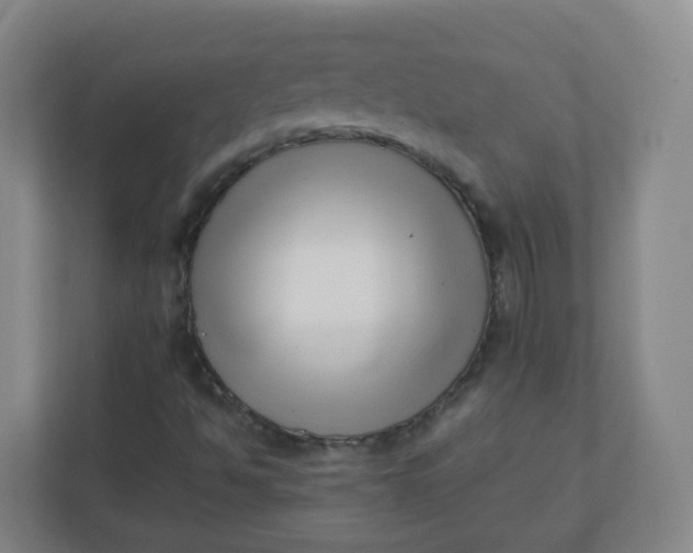 X0000110771494200906291037