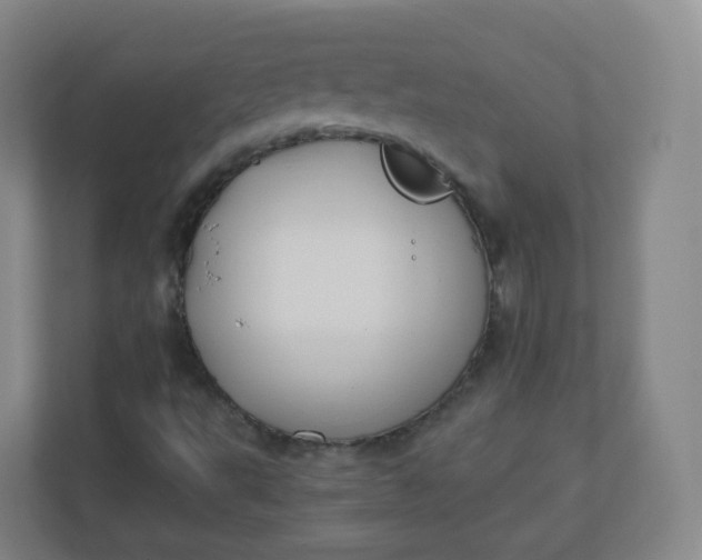 X0000110771495200906291037