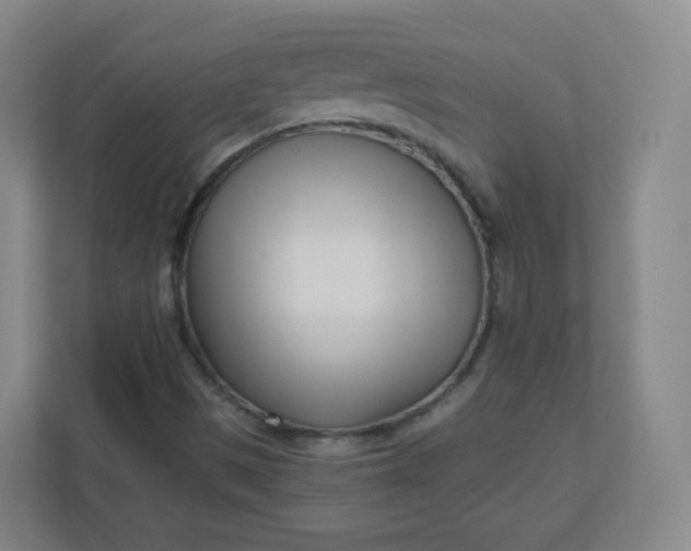 X0000110771497200906291037