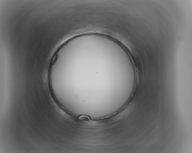 X0000110771500200906291037