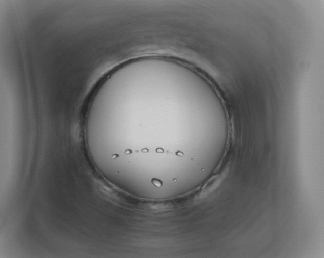 X0000110771501200906291037