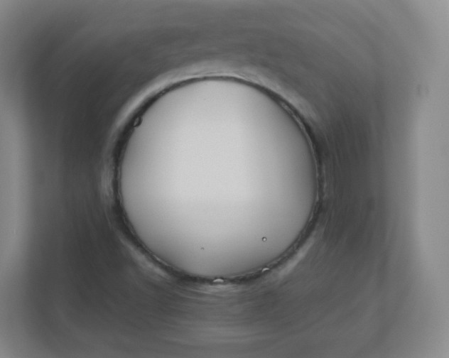 X0000110771502200906291037