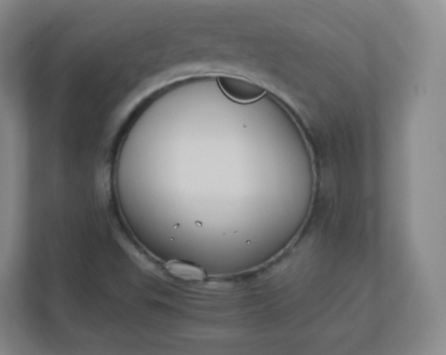 X0000110771503200906291037