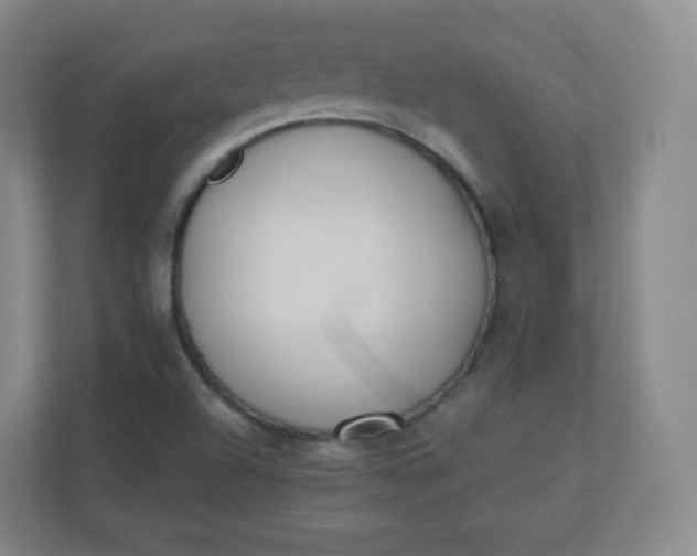 X0000110771504200906291037