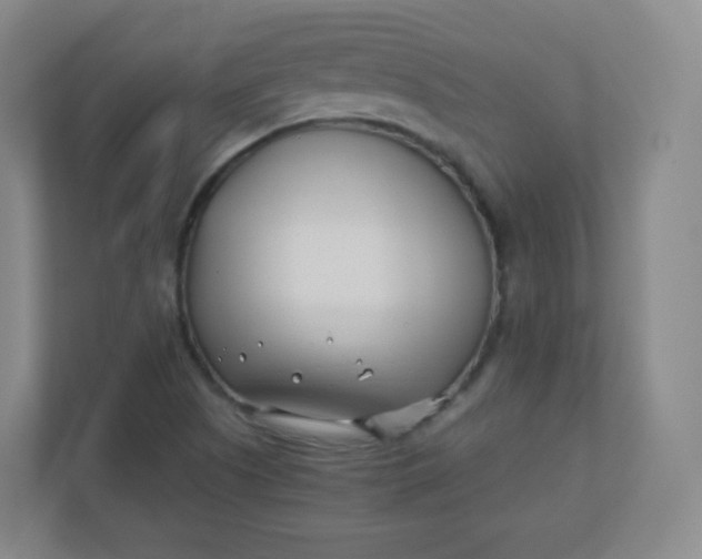 X0000110771505200906291037