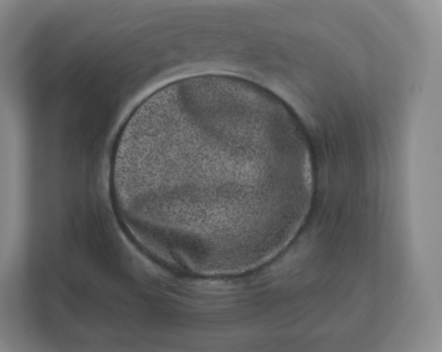 X0000110771508200906291038