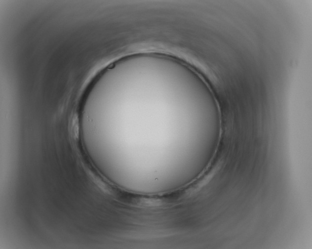 X0000110771509200906291038