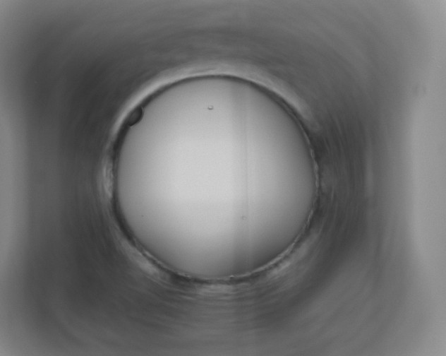 X0000110771510200906291038