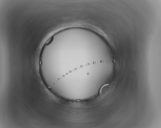 X0000110771512200906291038