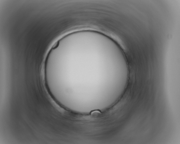 X0000110771516200906291038