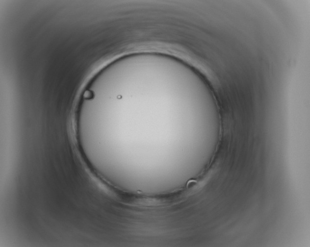 X0000110771517200906291038