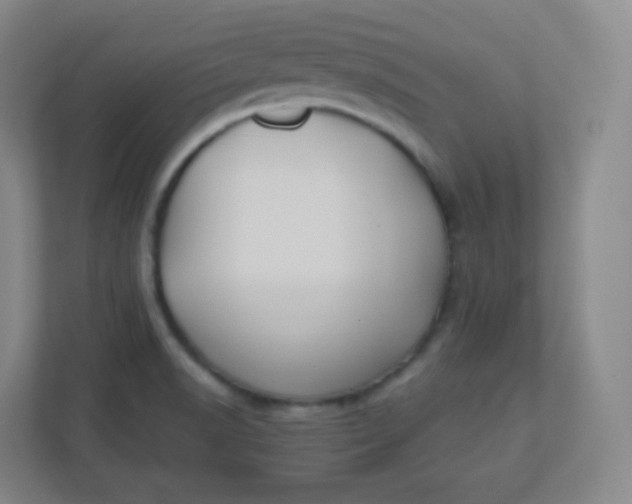 X0000110771518200906291038