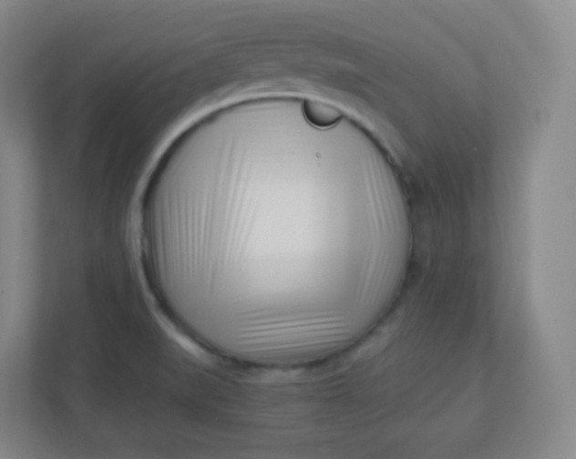 X0000110771519200906291038